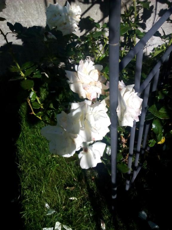 Apartment Sunshine Bruck Am Ziller מראה חיצוני תמונה